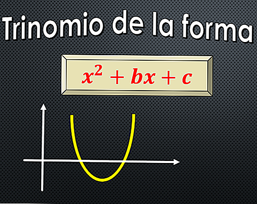 Trinomiale della forma x ^ 2 + bx + c (con esempi)